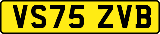 VS75ZVB