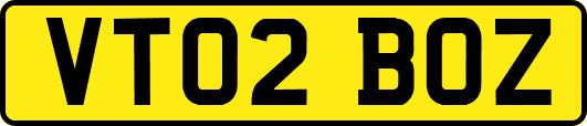 VT02BOZ