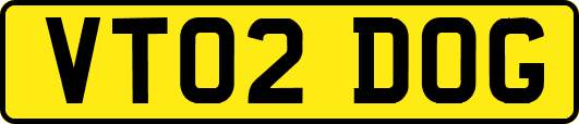VT02DOG