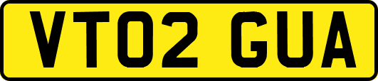 VT02GUA