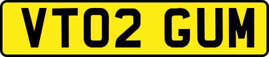 VT02GUM