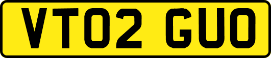 VT02GUO