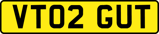 VT02GUT