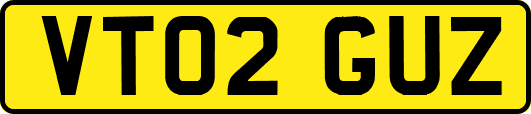 VT02GUZ