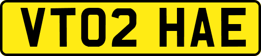 VT02HAE