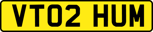 VT02HUM