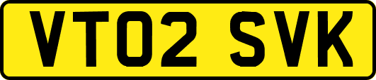 VT02SVK