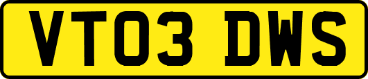 VT03DWS