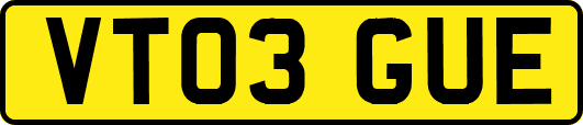 VT03GUE