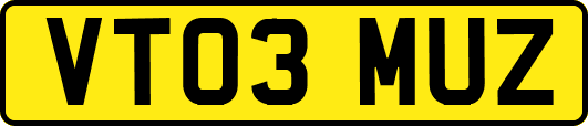 VT03MUZ