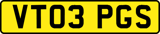 VT03PGS