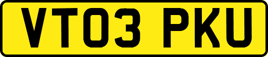 VT03PKU