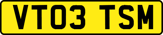 VT03TSM