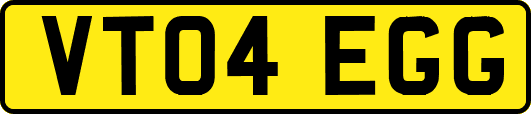 VT04EGG