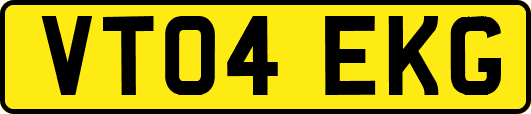 VT04EKG