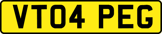 VT04PEG