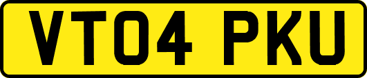VT04PKU
