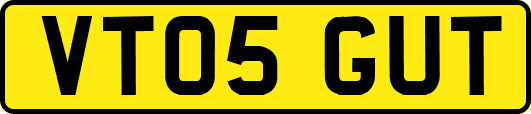 VT05GUT