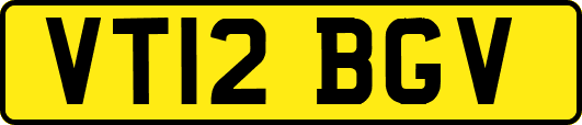 VT12BGV