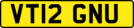 VT12GNU