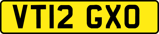 VT12GXO