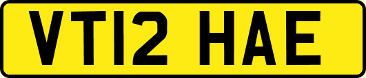 VT12HAE
