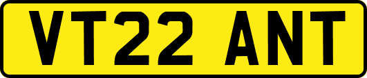 VT22ANT