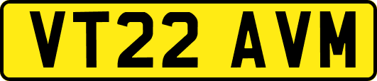 VT22AVM