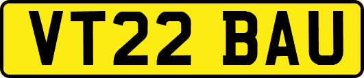 VT22BAU