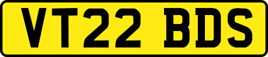 VT22BDS