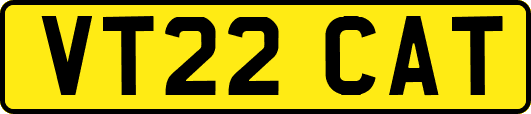 VT22CAT