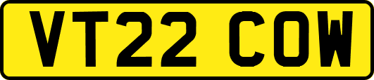 VT22COW