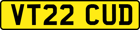 VT22CUD