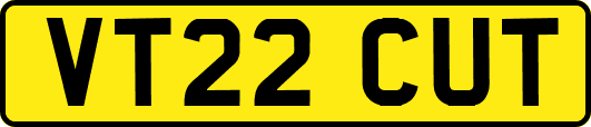VT22CUT