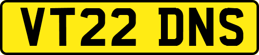 VT22DNS