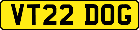 VT22DOG