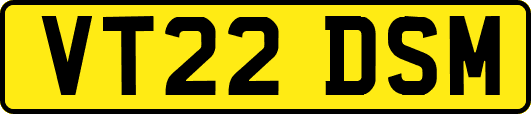 VT22DSM