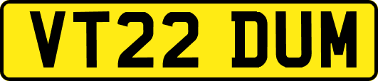 VT22DUM