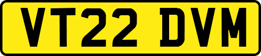 VT22DVM
