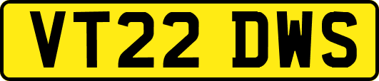 VT22DWS