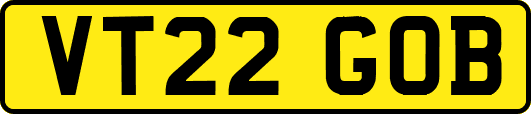 VT22GOB