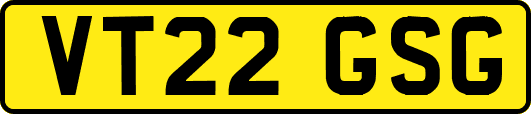 VT22GSG