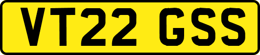 VT22GSS