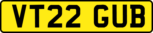 VT22GUB