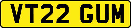 VT22GUM