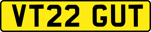 VT22GUT