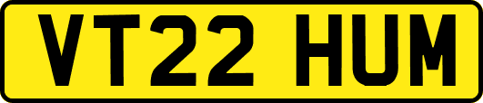 VT22HUM