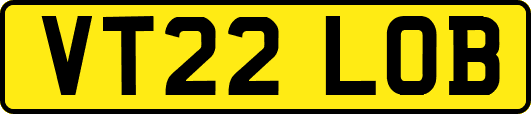 VT22LOB