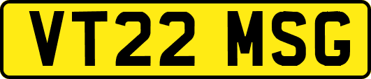 VT22MSG