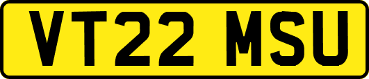 VT22MSU